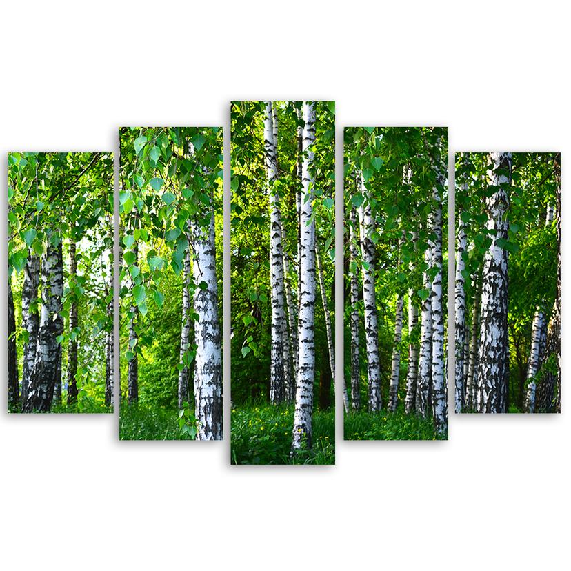 Stampa su tela 5 pezzi, verde bosco di betulle