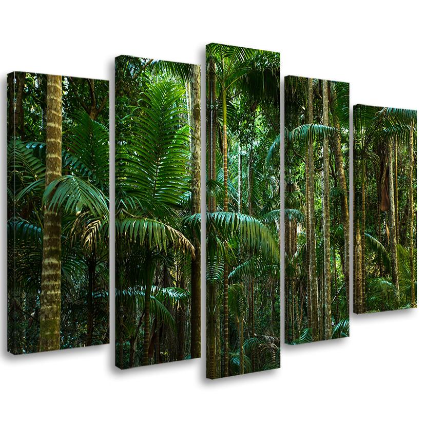 Tableau sur toile 5 pièces, nature de la forêt tropicale