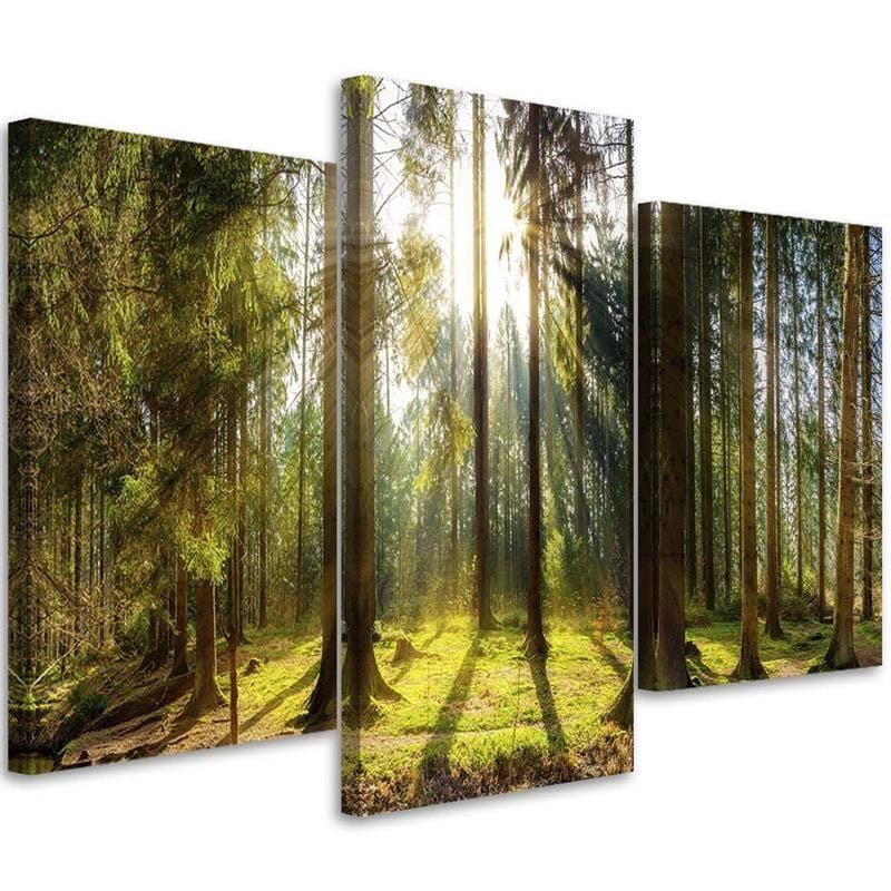 Impression sur toile en 3 parties, forêt rayons arbre nature