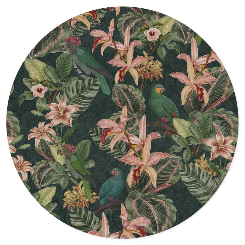 Adesivo murale della giungla con pappagalli verde notte - Bloomery Decor - Rotondo