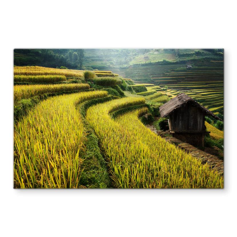 Pannello paraschizzi Intarob - Risaie in Vietnam