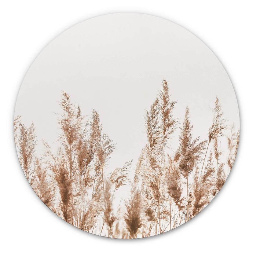 Tableau en alu-Dibond Roseau - Rond