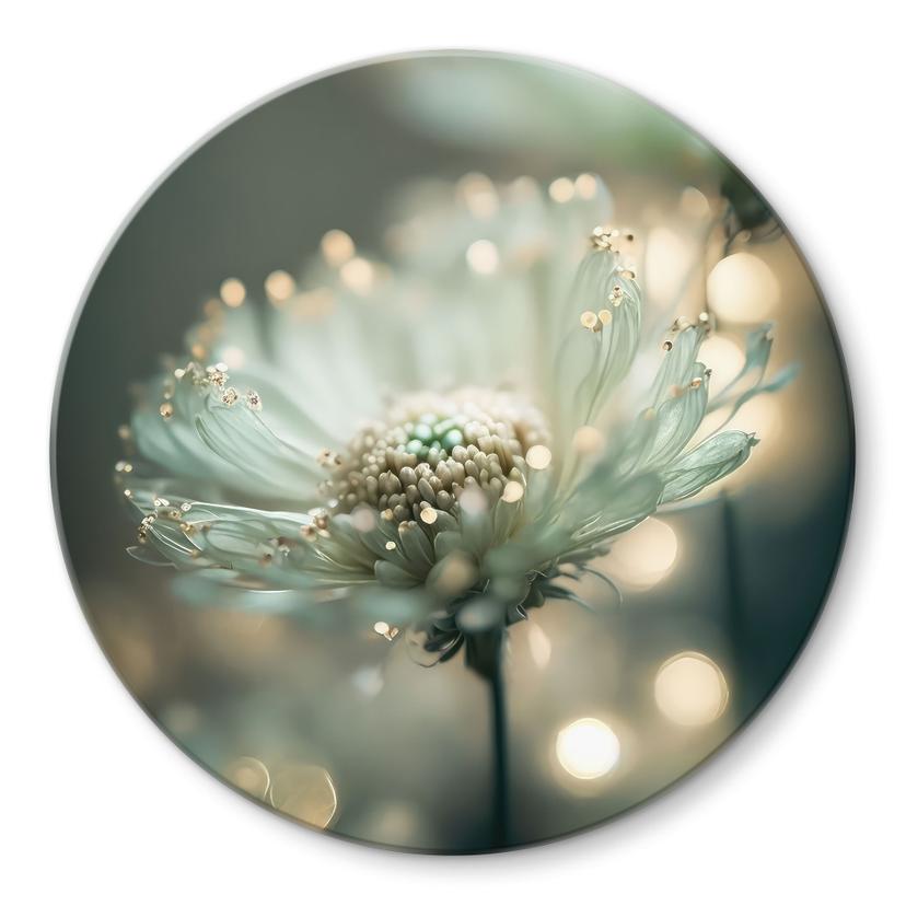 Glasbillede - Delikat glitrende blomster - Treechild - Rund