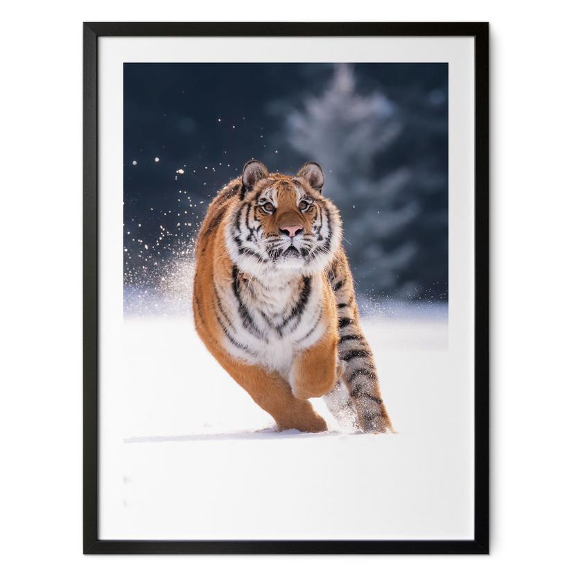 Plakat Sibirisk tiger i sneen - van Duijn