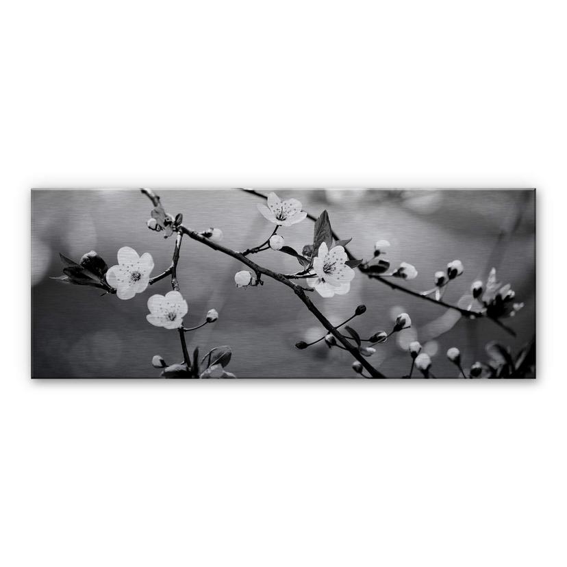 Tableau en alu-Dibond Éveil du printemps - Panorama