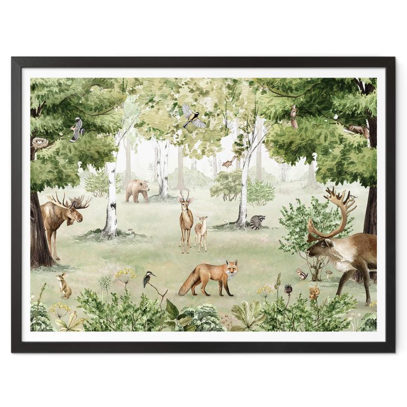 Poster Kikki Belle - Merveille de la forêt