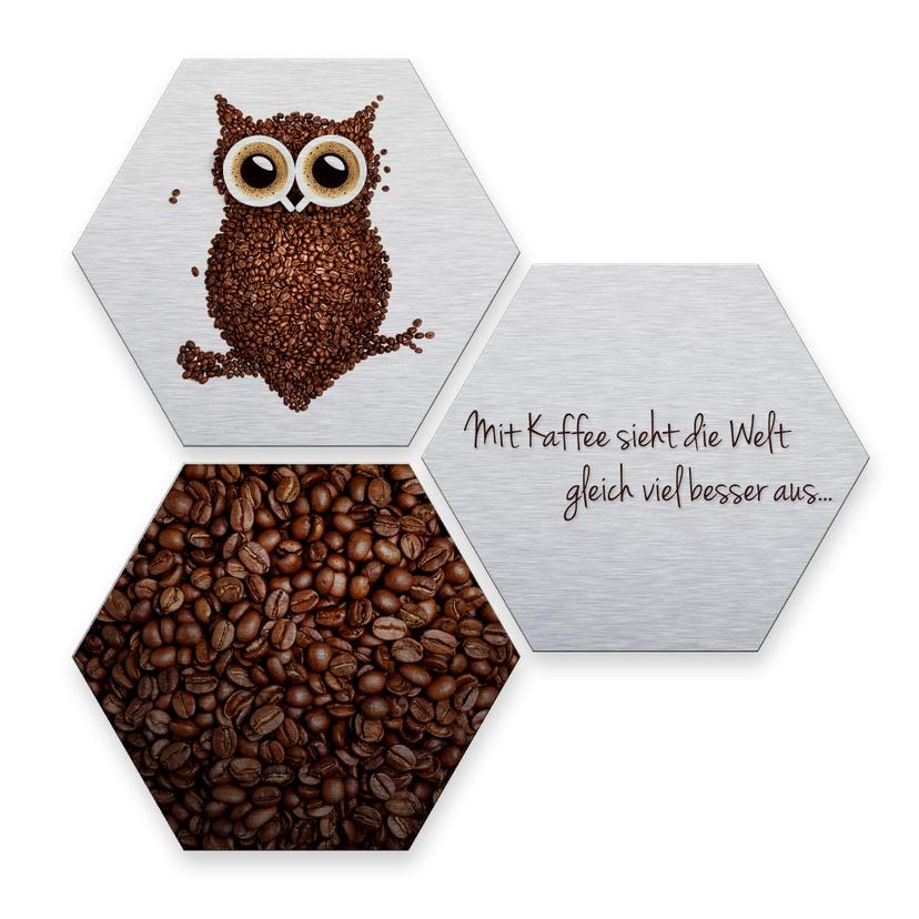 Hexagon - Alu-Dibond-Silbereffekt - Kaffeeeule (3er Set)