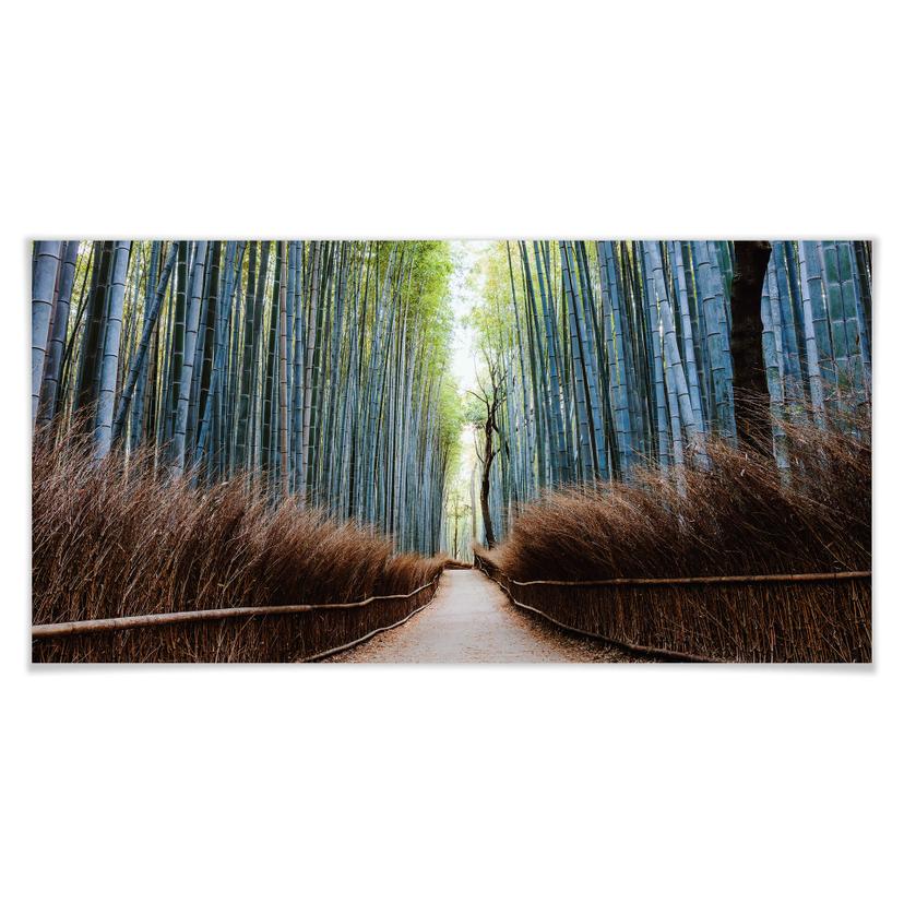 Póster Colombo - La cueva de bambú en Japón - Panorama