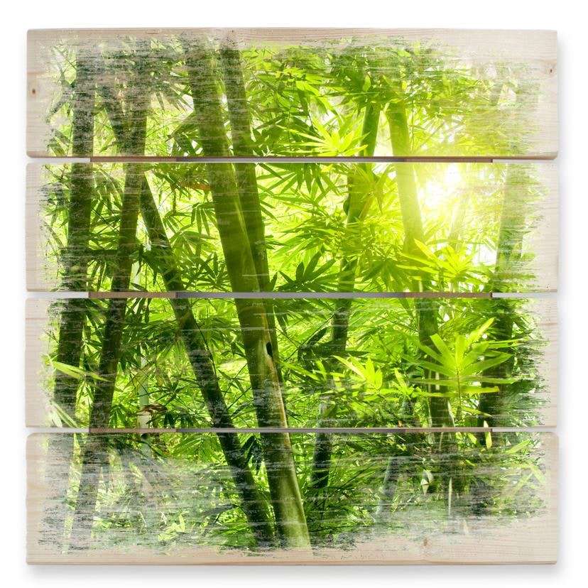 Cuadro de madera Sol en un bosque de bambú - 40x41,5 cm