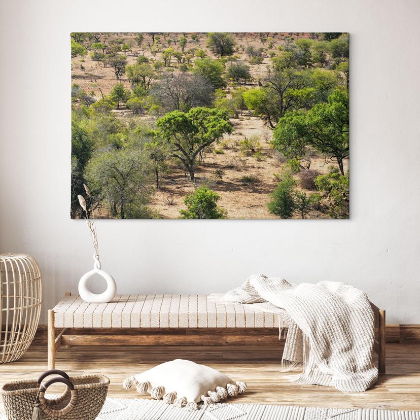 Canvas schilderij Savanne landschap in Afrika - Hugonnard