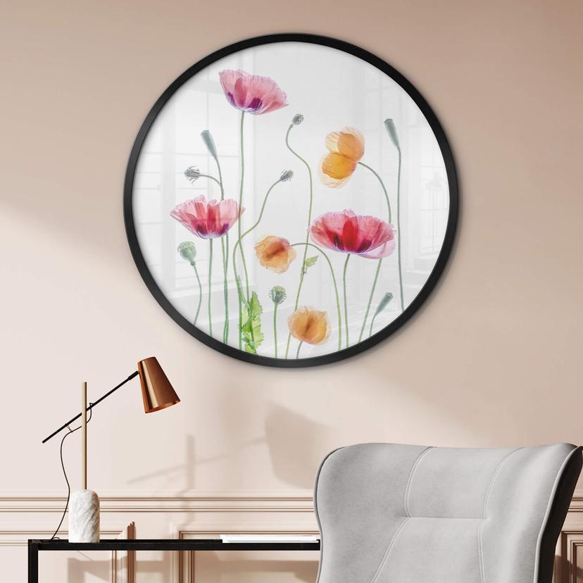 Poster Disher - Colourful Poppies