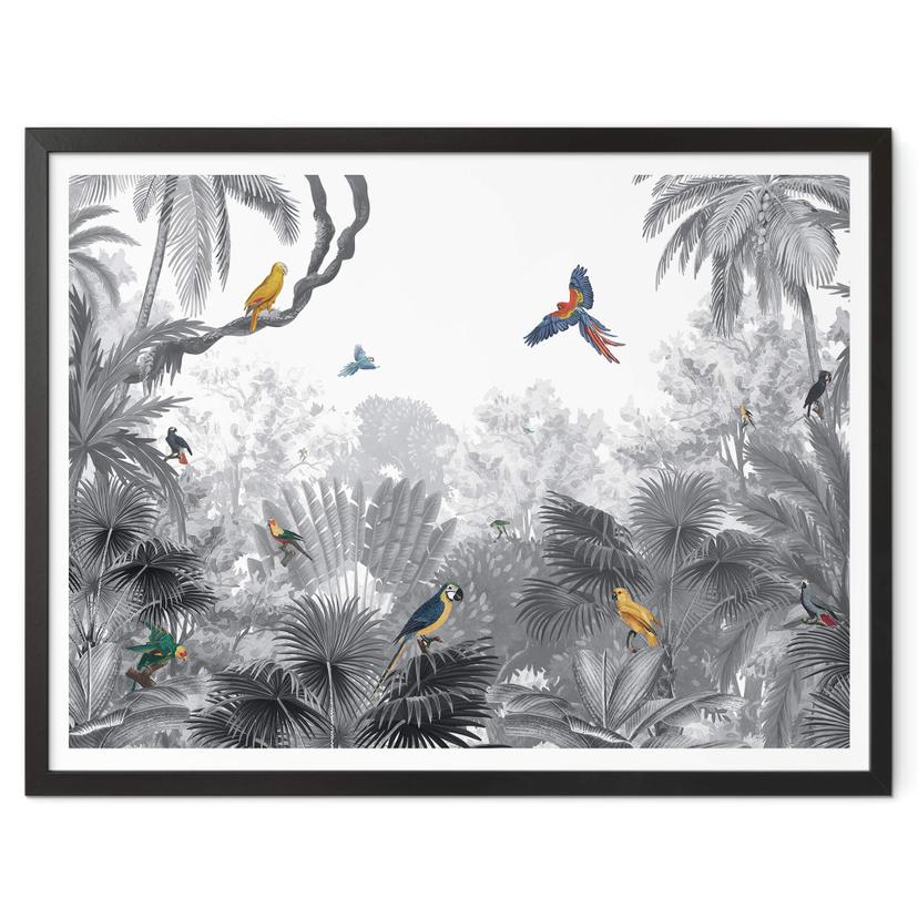 Póster Kikki Belle - Aves tropicales en blanco y negro