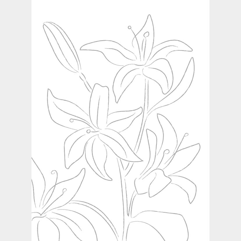 1X Studio - Line Art Floral - Minimalistiska blommor Fototapet
