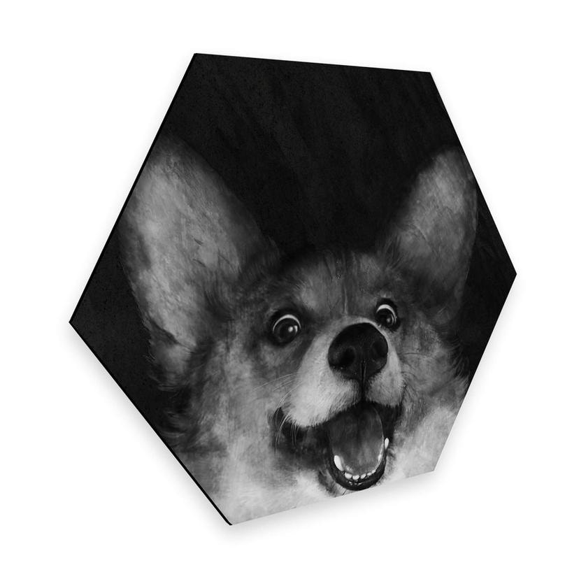 Hexagone - Alu-Dibond Graves - Sausage Fox Corgi