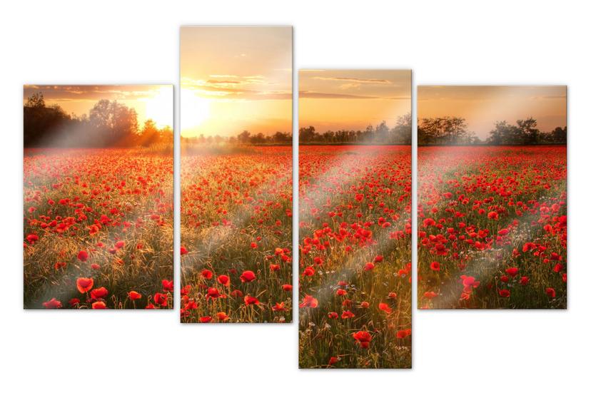 Acrylglas Klaprozen bij Zonsondergang (4-delig)