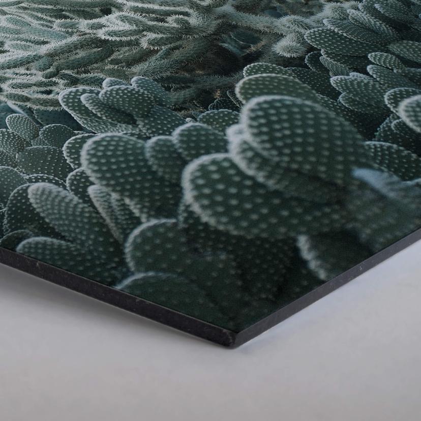 Hexagon alu-dibond - Cactussen