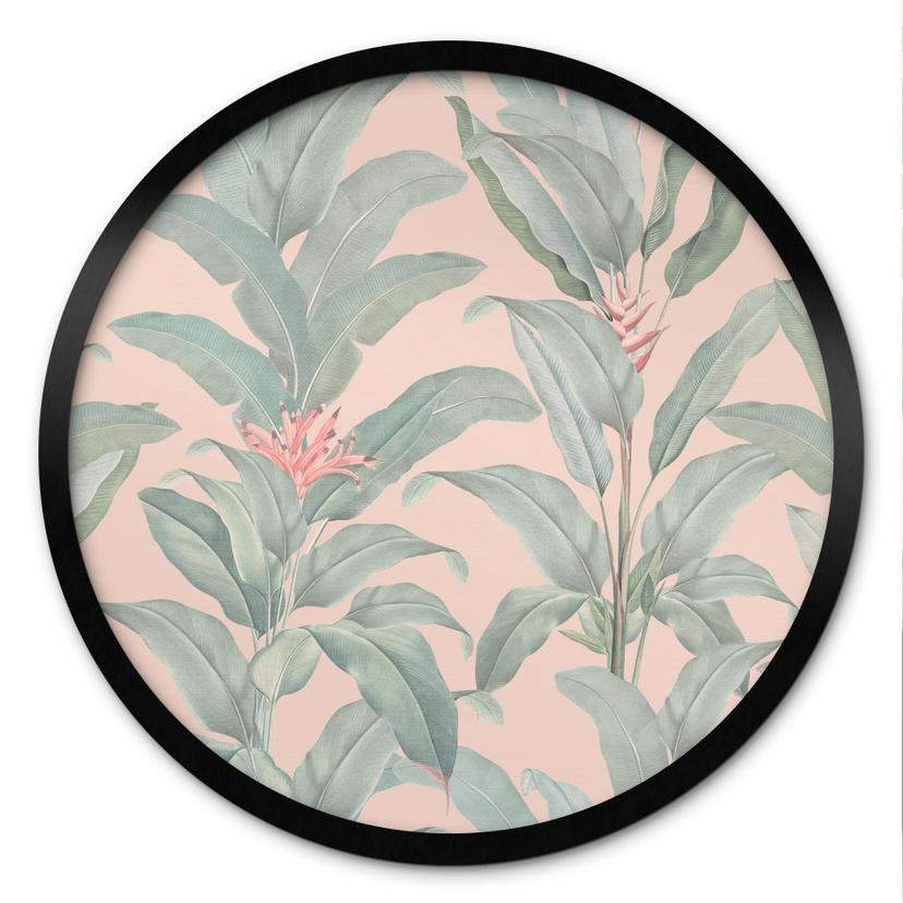 Plante Plakat Urban Jungle Tropical Leaves Pink - Bloomery Decor - Rund