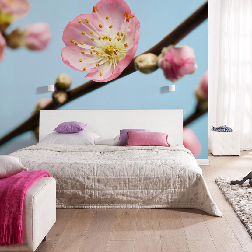 Fotobehang Vliesbehang - Peach Blossom