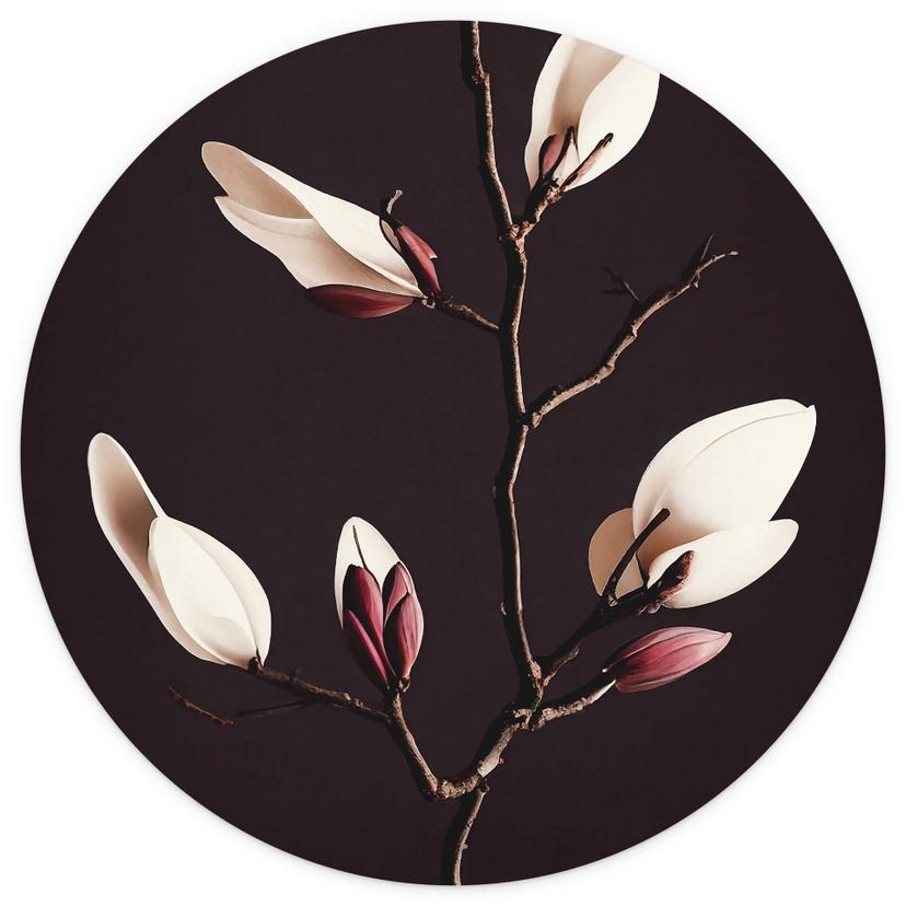 Fotomurale tondo Treechild - Magnolia Blossoms - carta da parati in tessuto non tessuto/carta da par