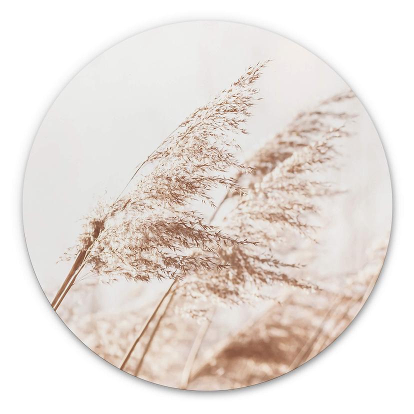 Wandcirkel Windy Grass