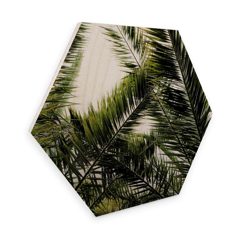 Hexagon hout - Palmen