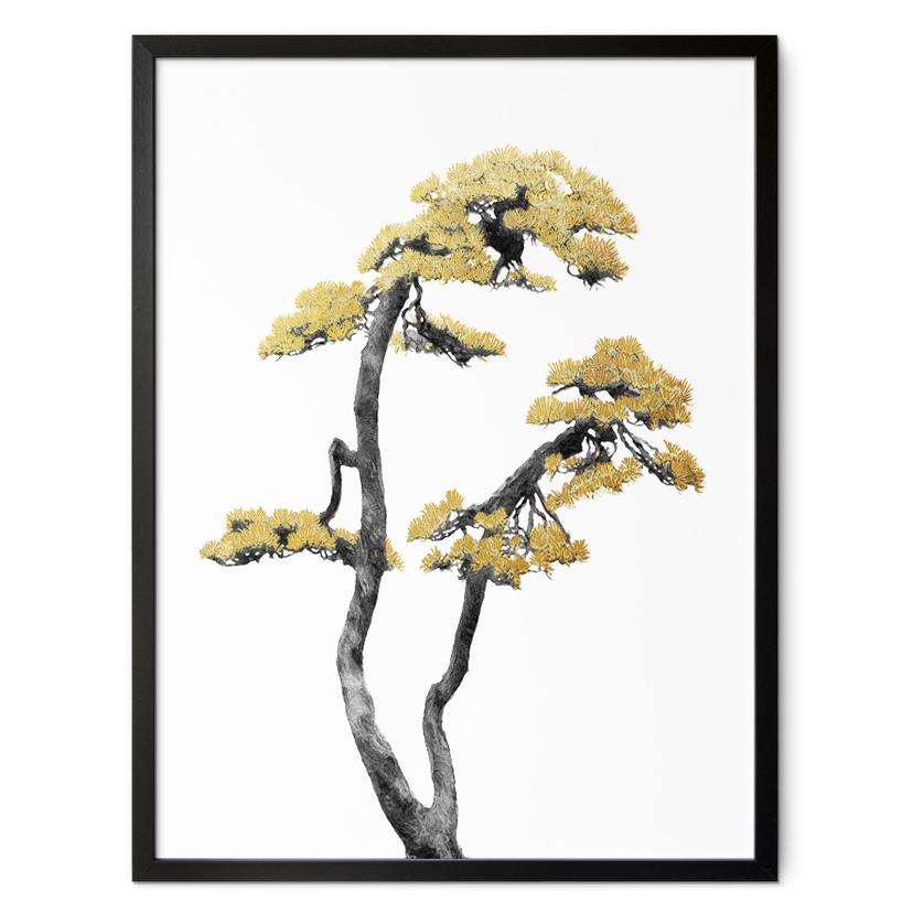 Plakat Amini - Bonsai