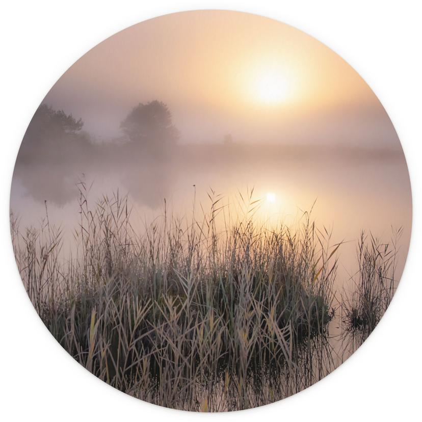 Fototapet Dimmig höstdag | naturfotografi för vardagsrummet - Eisenmann - Rund - non-woven tapet/sjä