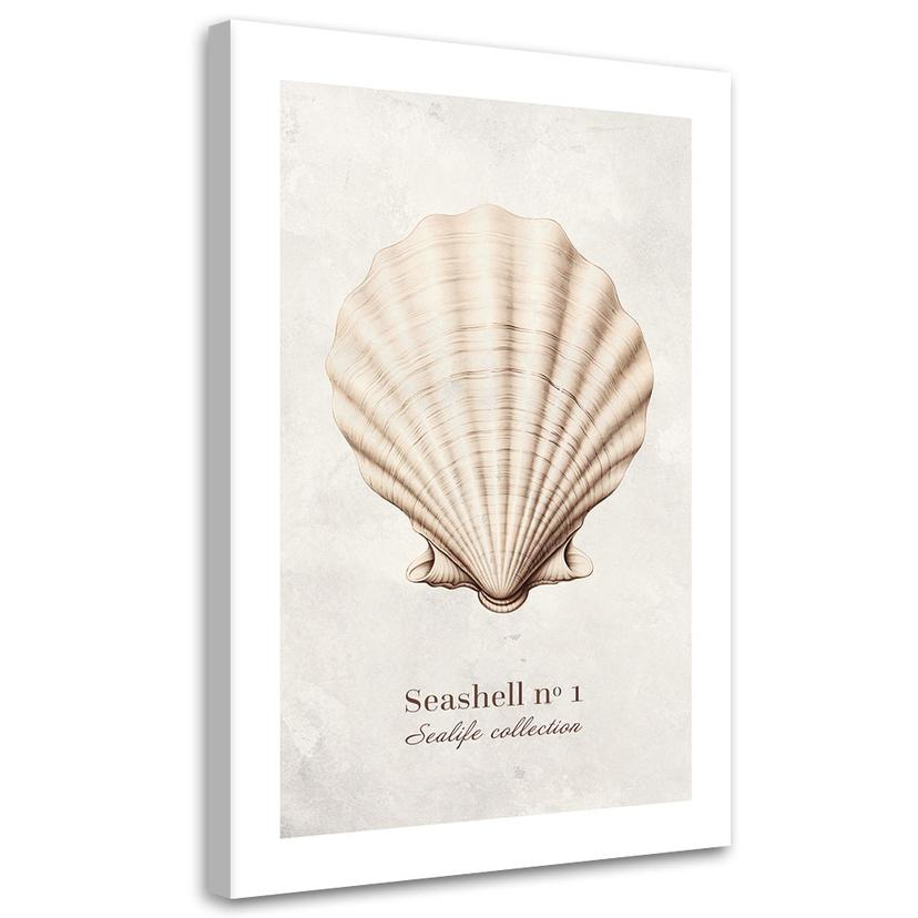 Canvasbillede, Naturlig muslingeskal