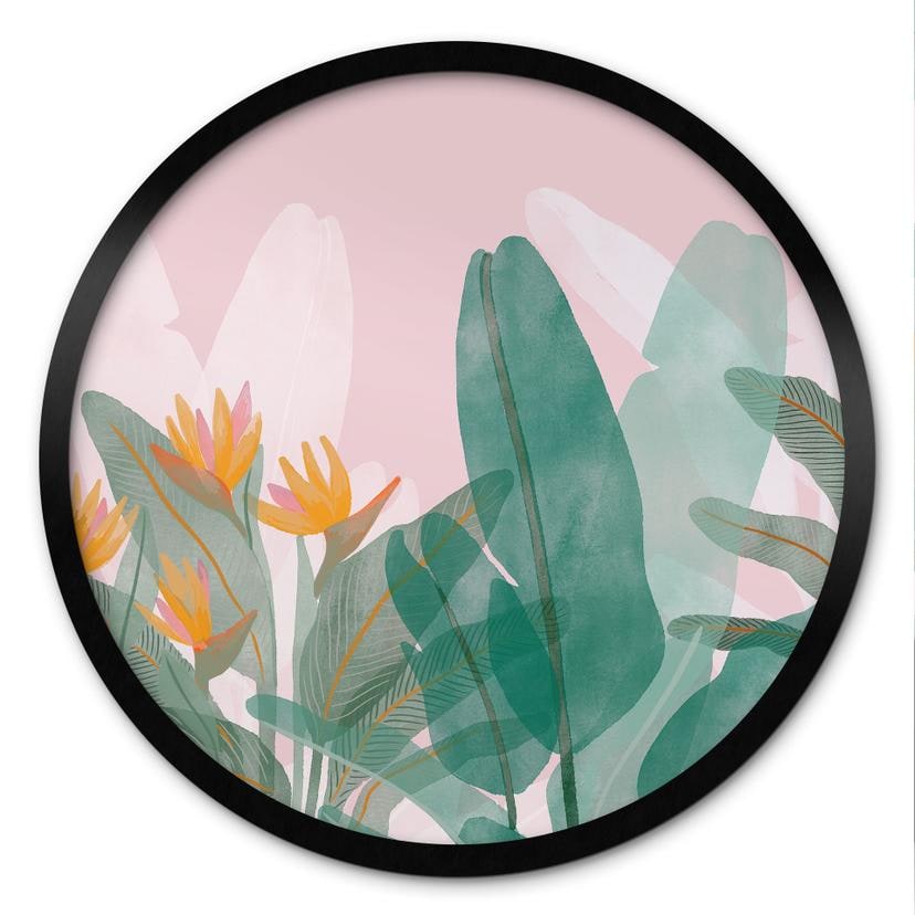 Botanisk illustrationsplakat i grøn og pink - Goed Blauw - Round