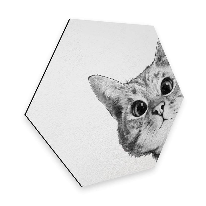 Hexagon - Alu-Dibond Graves - Sneaky Cat