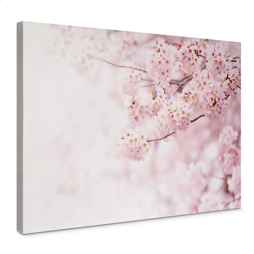 Tableau sur toile Délicates fleurs de cerisier