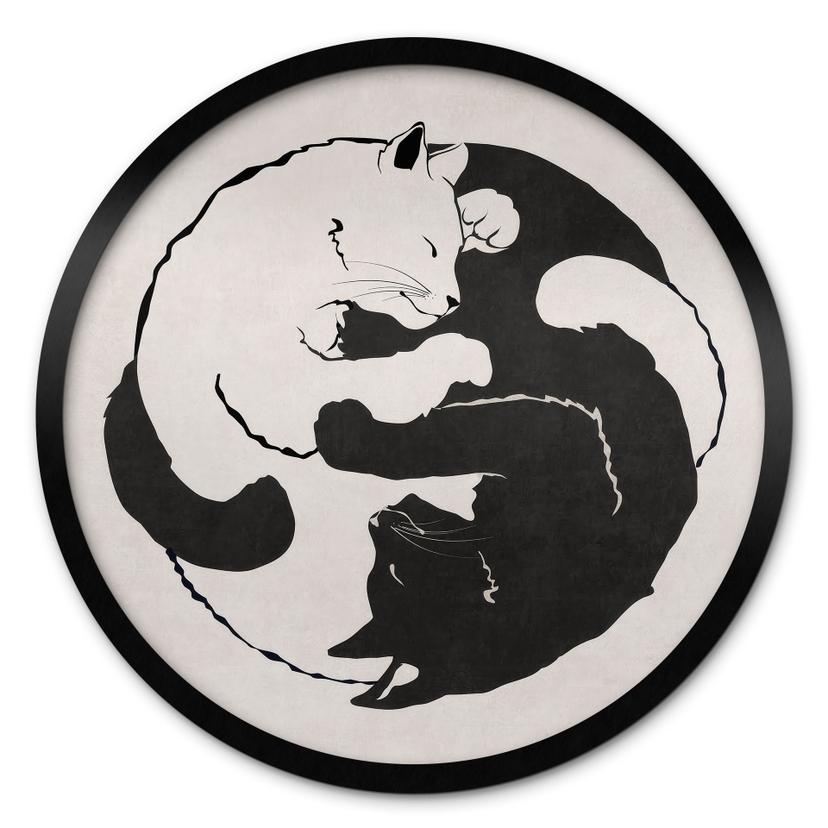 Plakat Katte Ying & Yang - Tunaboylu