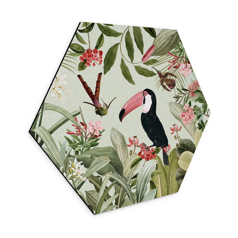 Hexagon Dibond Tukan i et jungleparadis - UN Designs