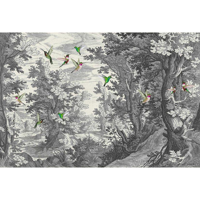 Livingwalls fotomurale Walls by Patel 3 Foresta