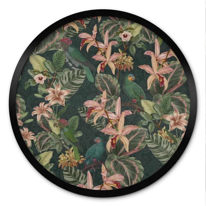 Poster jungle avec perroquets vert nuit - Bloomery Decor - Rond