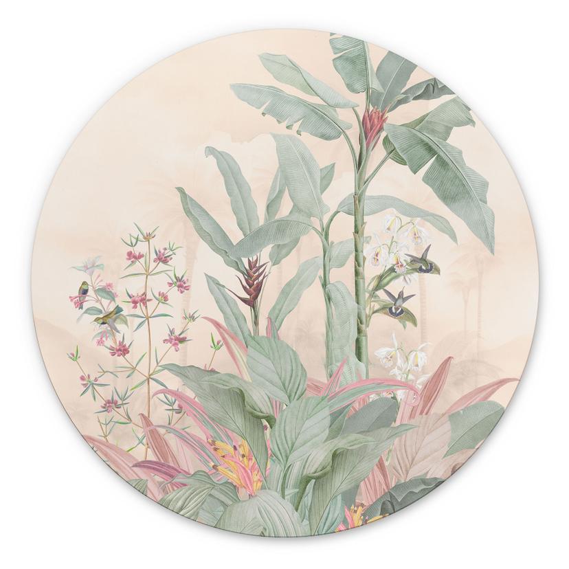 Tropisk idyl med kolibri abrikos - Bloomery Decor - rund – print på aluminium (Alu-Dibond)