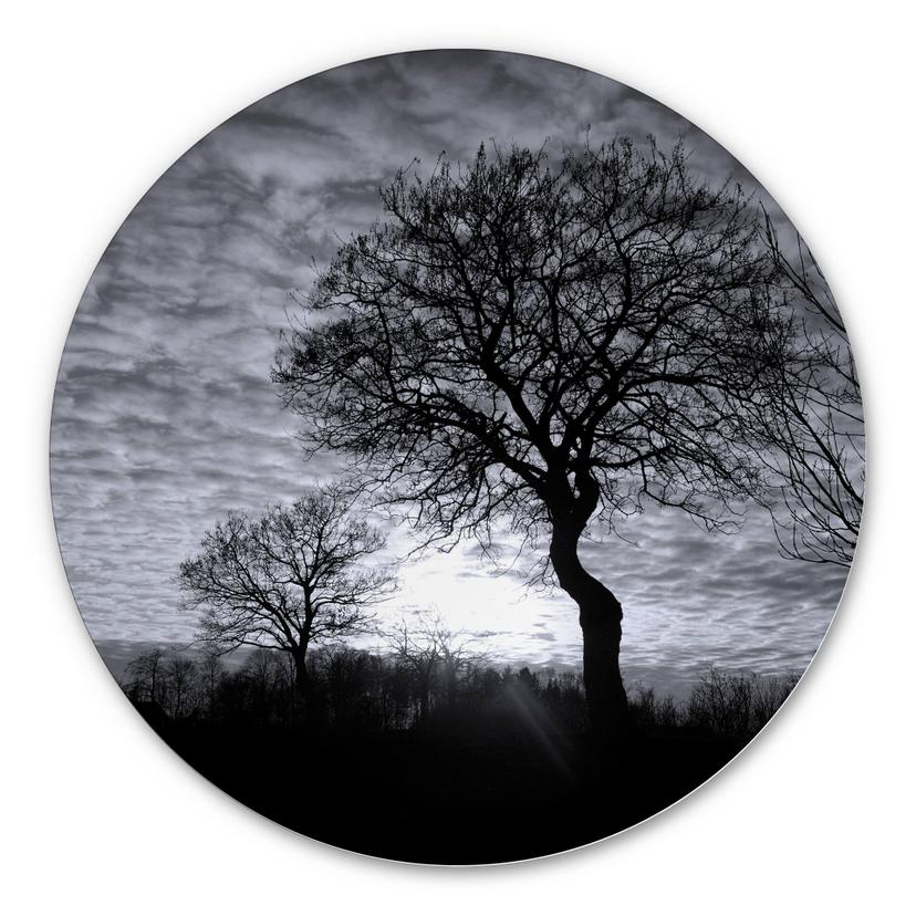 Wandcirkel Alu-Dibond Black and White Sunset
