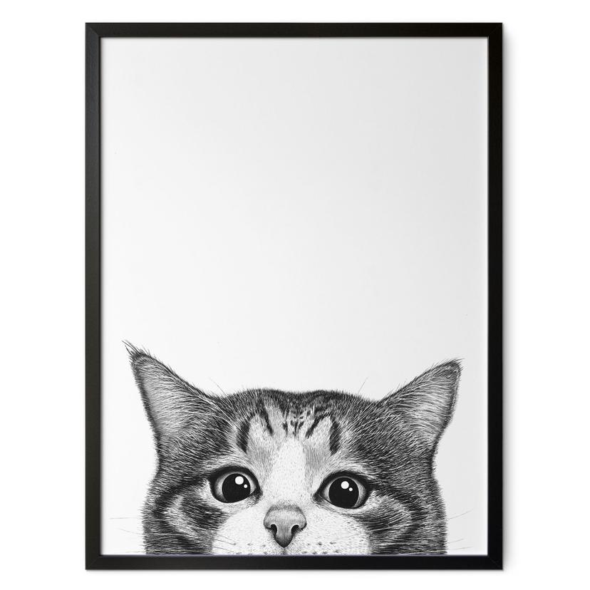 Plakat Nysgerrig kat - Korenkova