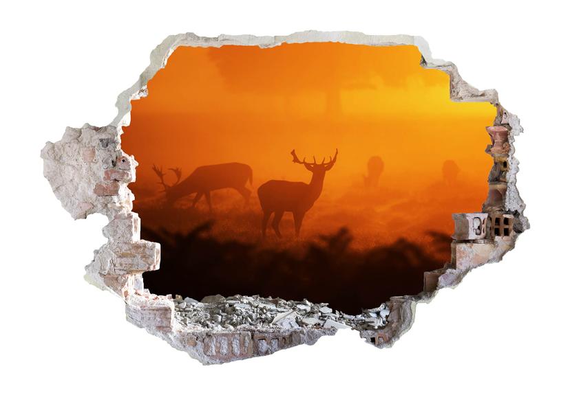 3D Muursticker Herten bij zonsondergang