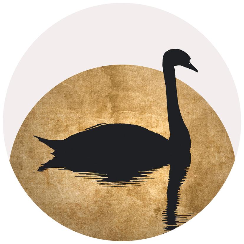Fotomurale Kubistika - Cigno - tondo - carta da parati in tessuto non tessuto/carta da parati in tes