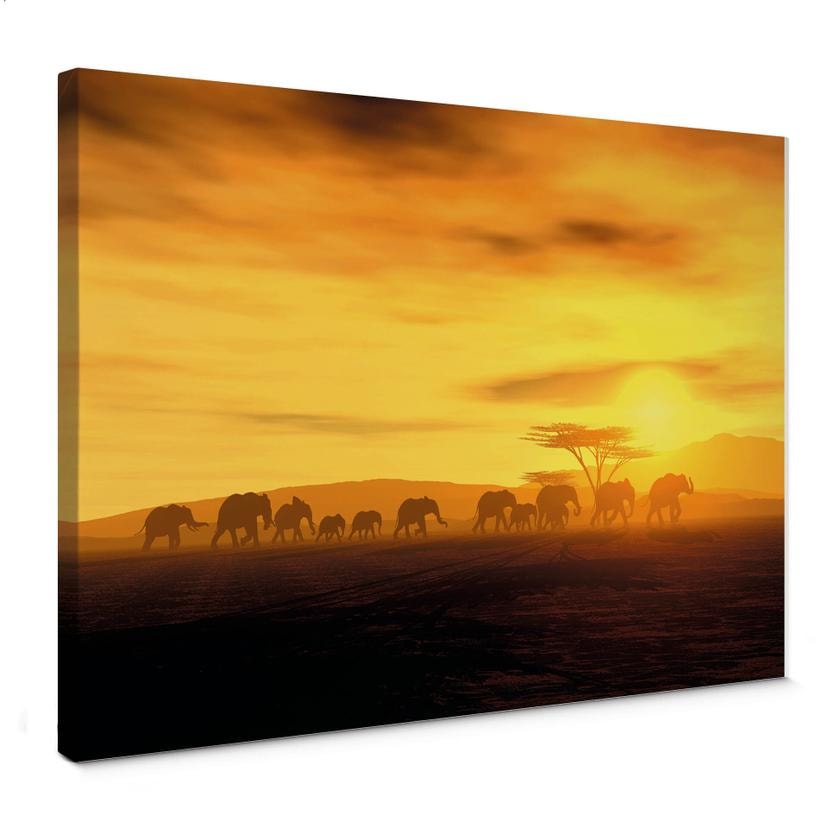 Tableau sur toile - Migration des Éléphants