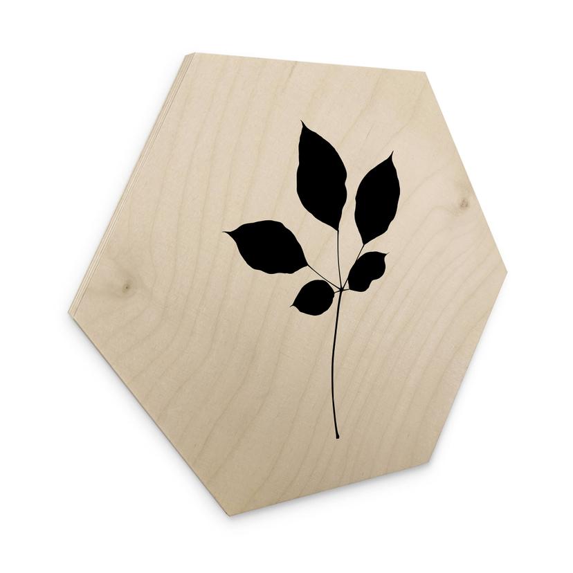 Hexagone - Bois placage de bouleau Kubistika - Feuille de châtaignier noire