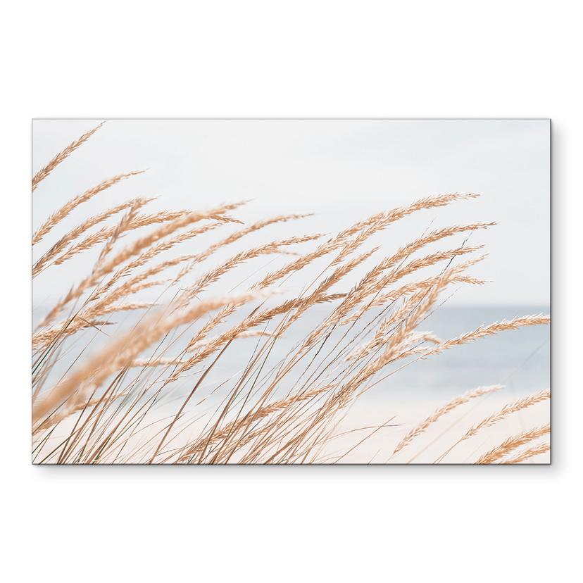 Wandbild Dünengras - Alu-Dibond