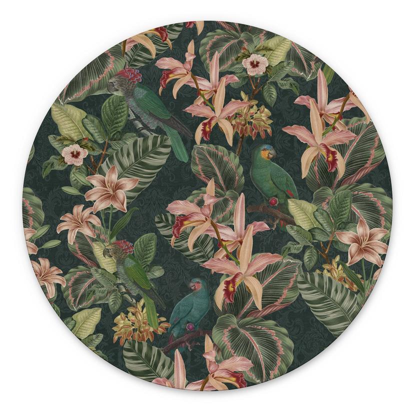 Tableaux jungle avec perroquets vert nuit - Bloomery Decor - Alu-Dibond Rond