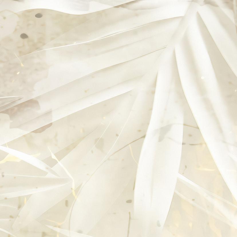 Fotobehang Abstracte witte palmbladeren - Kulik