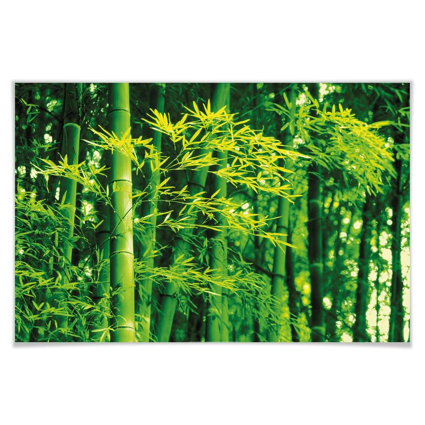 Giant Art® XXL-Poster Bamboo - 175x115 cm