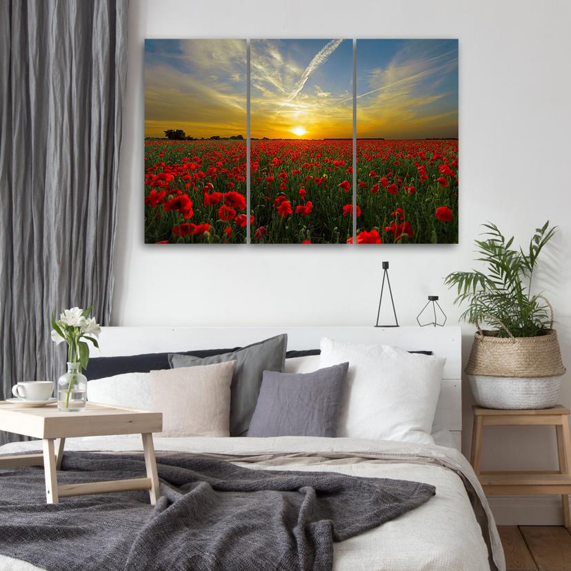 Stampa su tela 3 pezzi, Campo di papaveri al tramonto