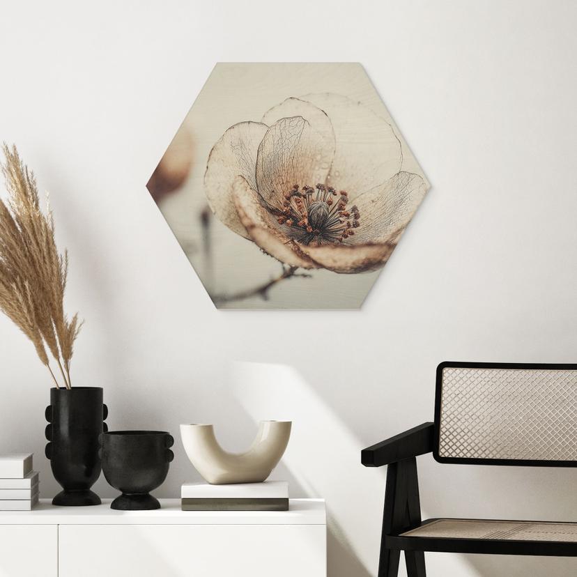 Stampa su legno esagonale fiore secco beige natura poesia - Treechild