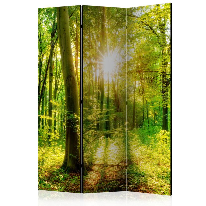 Paravent Séparation de pièce - Rayons de forêt, 3 pièces