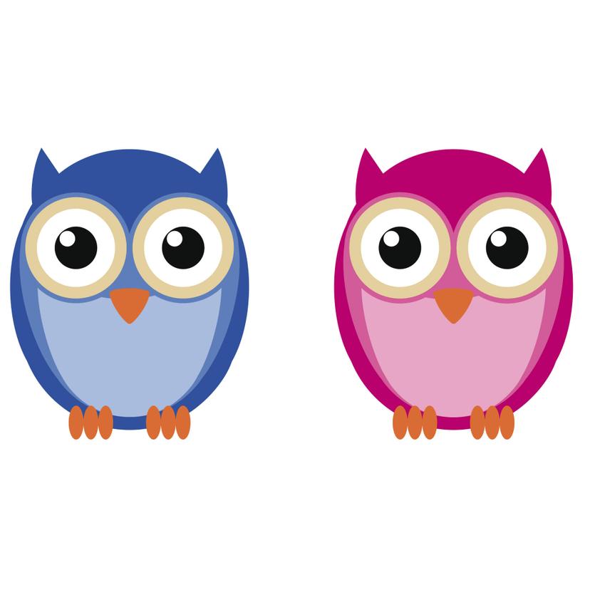 Sticker mural - Hibou Einstein et Madame hibou